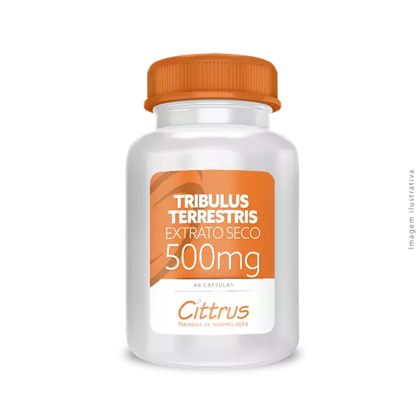 Imagem de Tribulus Terrestris Extrato Seco 500mg 60 Cápsulas